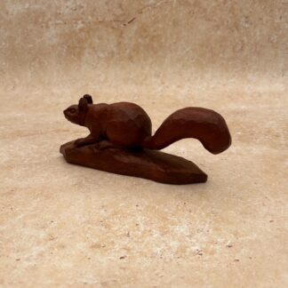 Squirrel in Sapele