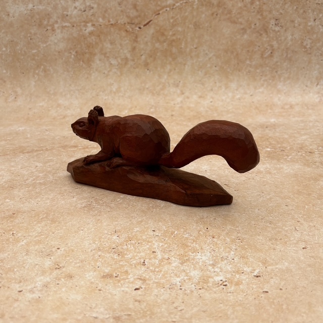 Squirrel in Sapele