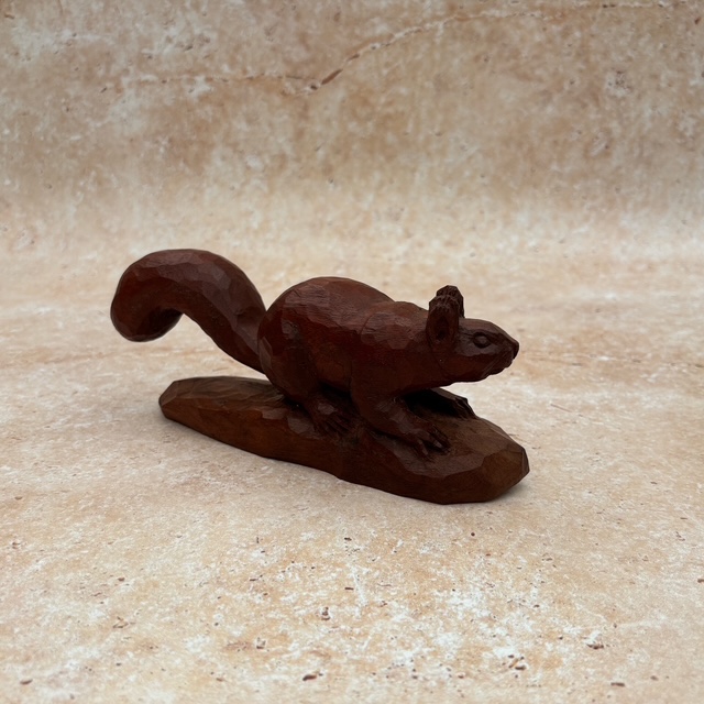 Squirrel in Sapele - Image 2