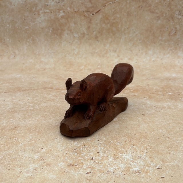 Squirrel in Sapele - Image 3