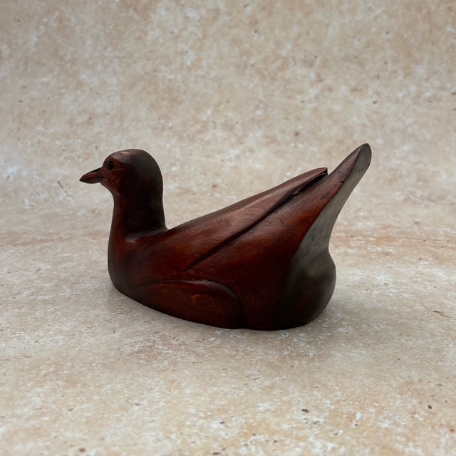 Moorhen - Image 3