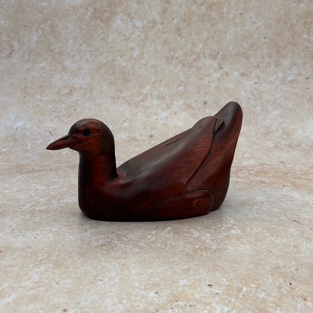 Moorhen