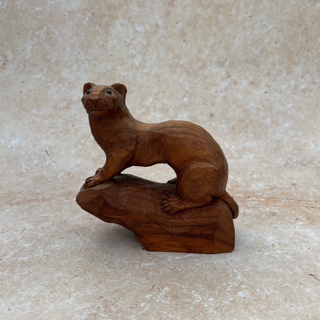 Weasel in Black Walnut